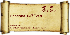Brecska Dávid névjegykártya